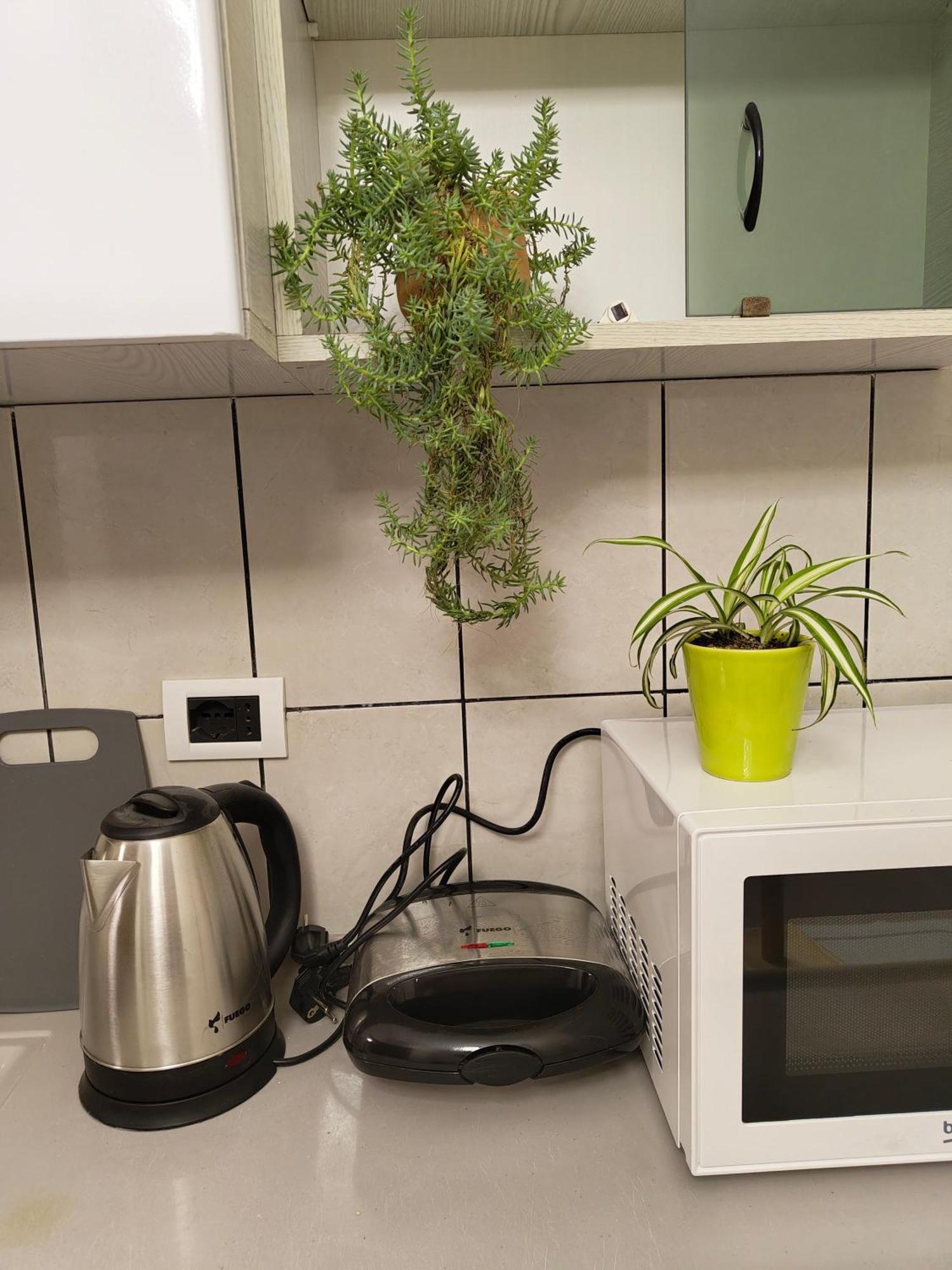 Erli Apartment Shkodër Extérieur photo